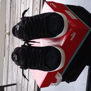 Black and White Pumas